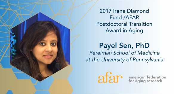Congratulations Payel Sen on her 2017 Irene Diamond Fund/AFAR Postdoctoral Transition Award in Aging!