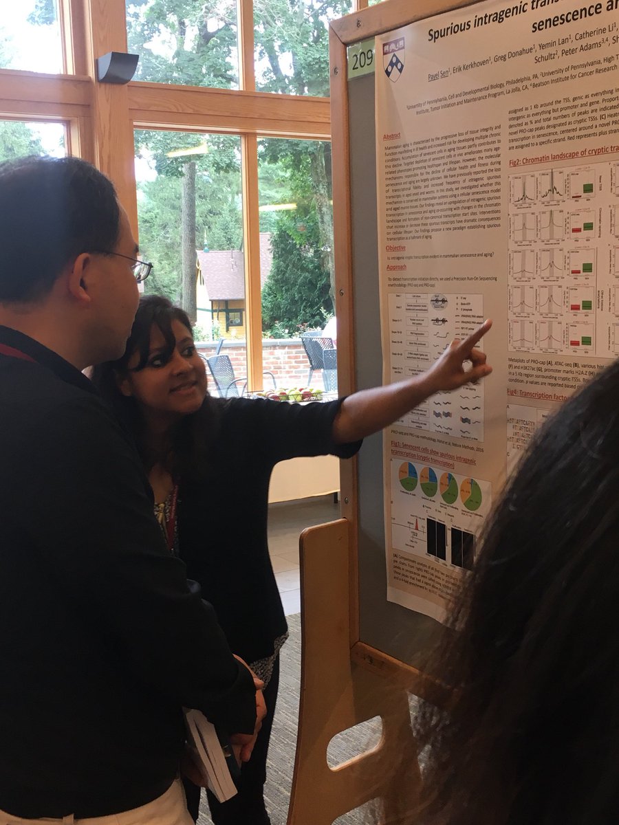 Payel Sen presenting her latest data on cryptic transcription on senescence and aging at Cold Spring Harbor