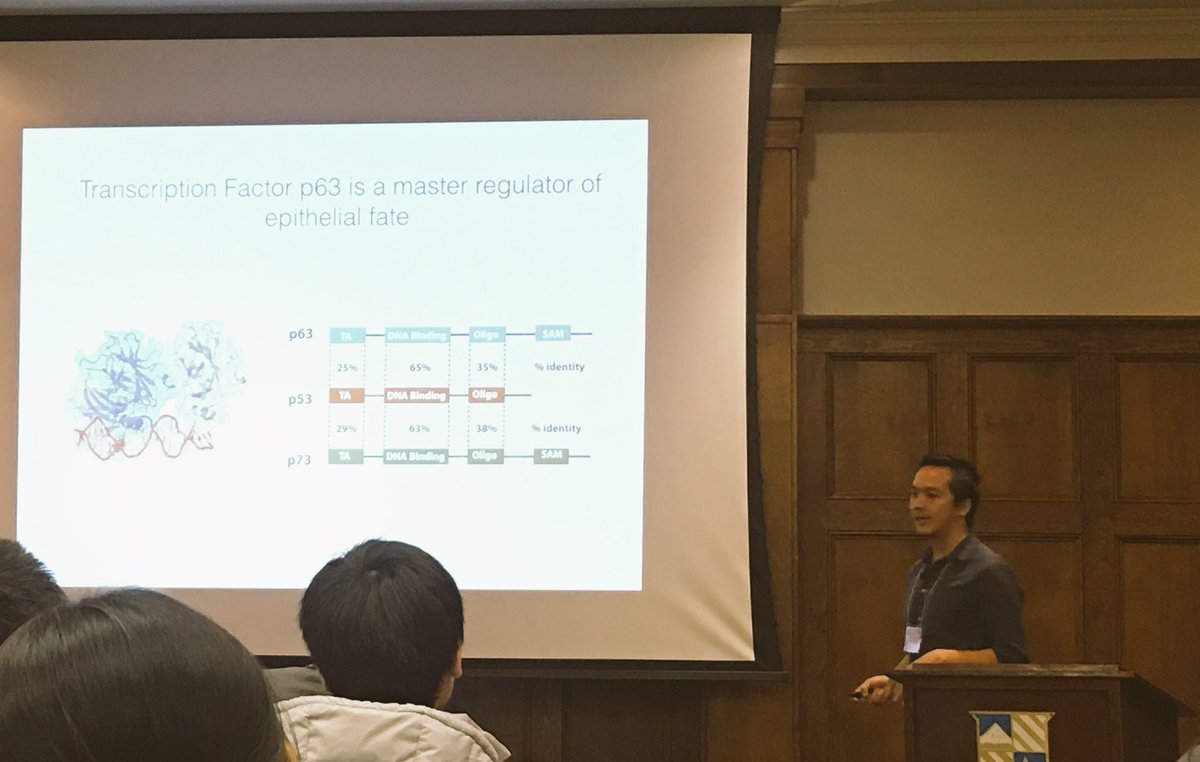 Our PhD candidate, Enrique Lins, talks about his research at this years Biochemistry and Molecular Biophysics Retreat