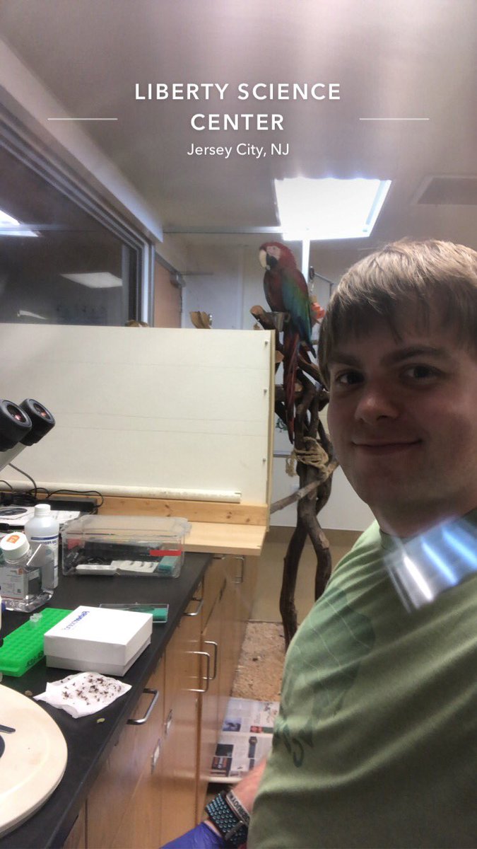 Postdoc, Balint Kacsoh, at the Liberty Science Center collecting leaf cutter samples for the lab with a parrot supervisor!
