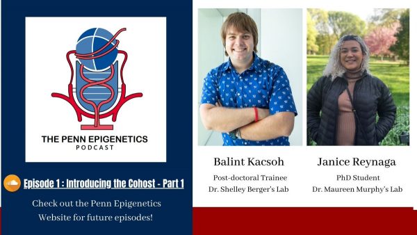 We are excited about the Penn Epigenetics Institute Podcast launch, co-hosted by Janice Reynaga and our own Balint Kacsoh.